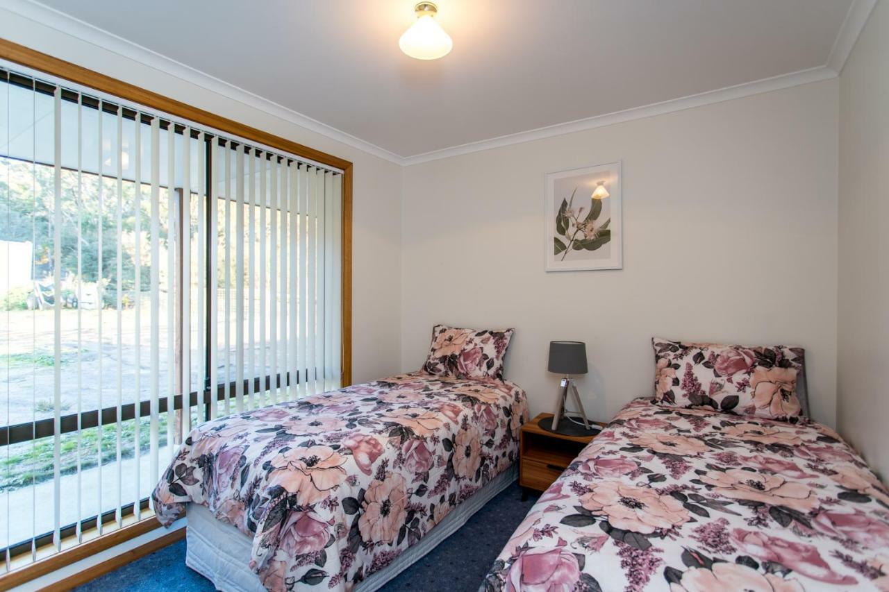 Acton Park Holiday Units エクステリア 写真